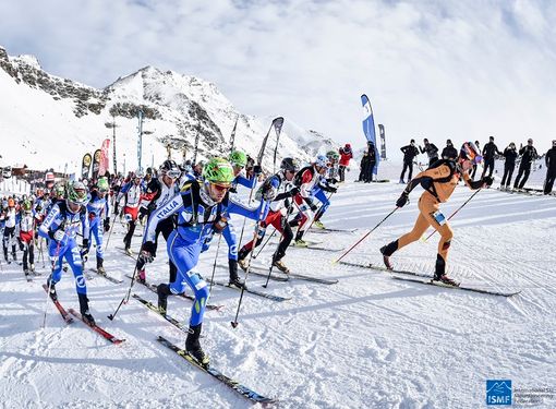 Scialpinismo: Al via sabato la Monterosa Skialp Scialpinismo: Al via sabato la Monterosa Skialp