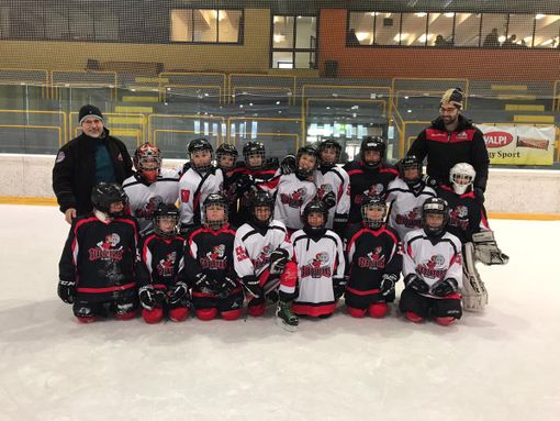 Hockey ghiaccio: U9; Il 2020 iniziato all'insegna del divertimento Hockey ghiaccio: U9; Il 2020 iniziato all'insegna del divertimento