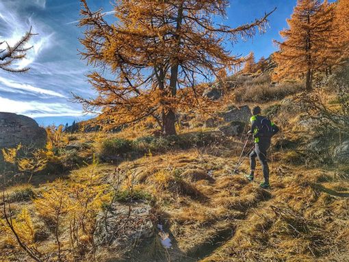 Trail: A Valsavarenche primo Espace Trail italiano Trail: A Valsavarenche primo Espace Trail italiano
