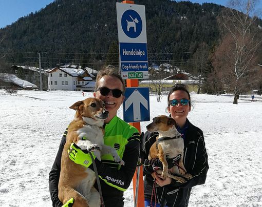 Mille chilometri sulle poste di fondo per il benessere dei maiali