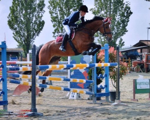 Paolo Sandri (repertorio) Paolo Sandri (repertorio)