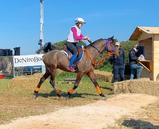 Equitazione: Endurance; in Puglia Martina Pisano conquista un entusiasmante secondo posto Equitazione: Endurance; in Puglia Martina Pisano conquista un entusiasmante secondo posto
