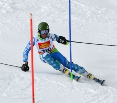 Tedde in una foto di repertorio Tedde in una foto di repertorio