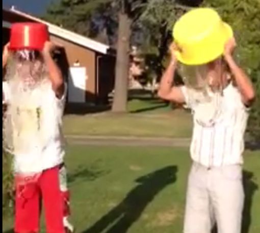 RACCOLTA FONDI A FAVORE DELLA FONDAZIONE STEFANO BORGONOVO ONLUS RACCOLTA FONDI A FAVORE DELLA FONDAZIONE STEFANO BORGONOVO ONLUS