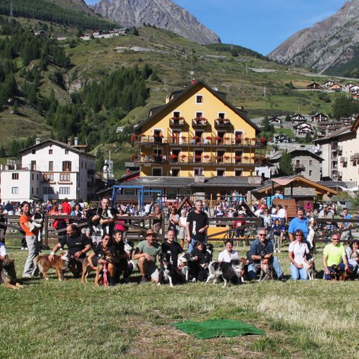 CINOFILIA: A Cogne un pomeriggio di esibizioni e festa