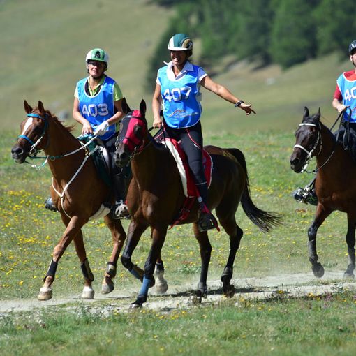 Equitazione: Al belga belga Cohard Jean-Philippe su Eaunoire Bonzai l’enduro di Torgnon