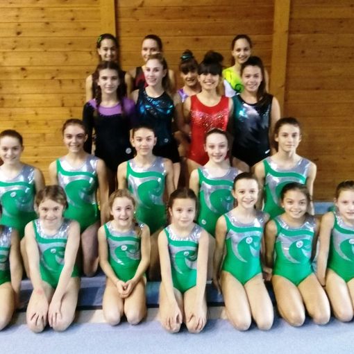La squadra artistica