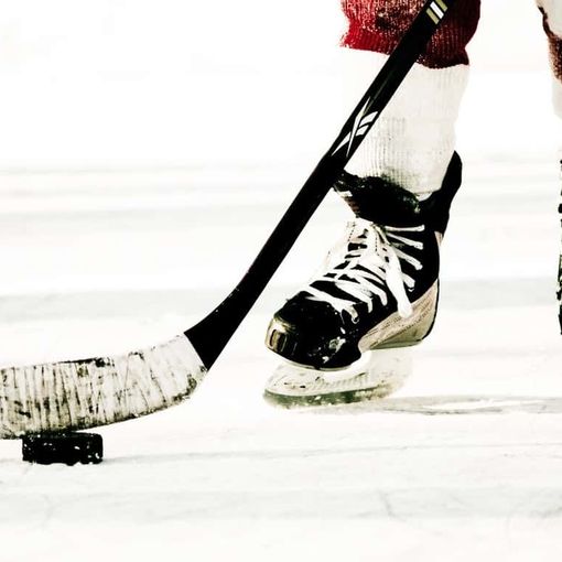 Hockey ghiaccio: Gli imegni dei Gladiators