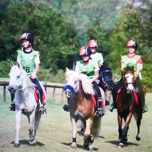 Il Team Endurance in gara