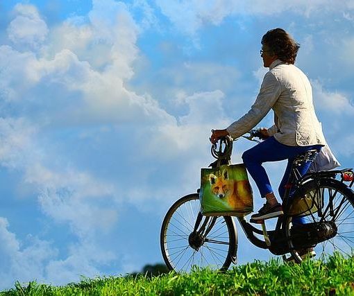 Una bicicletta per ogni occasione