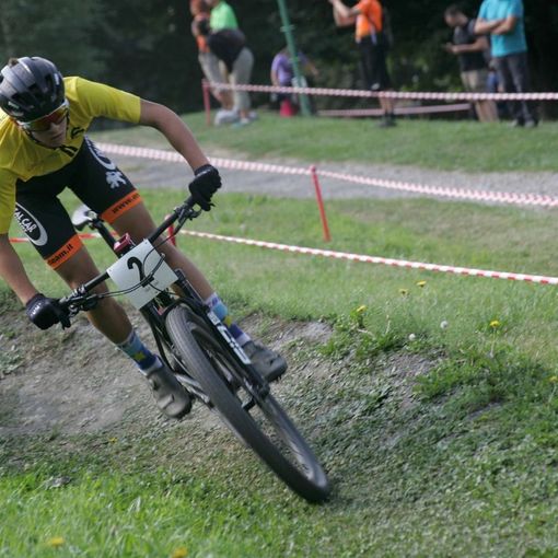 Michel Careri (repertorio)
