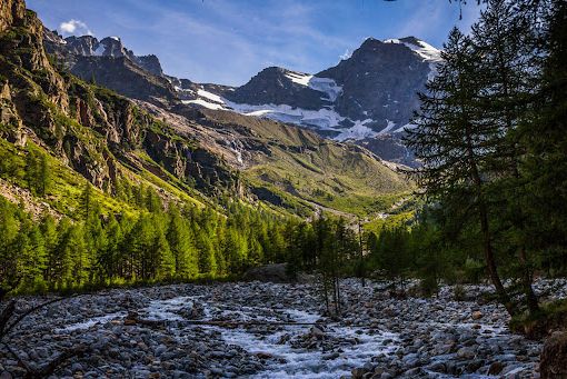 Winter World Triathlon Championships 2025: iniziativa solidale “Doniamo un albero a…”