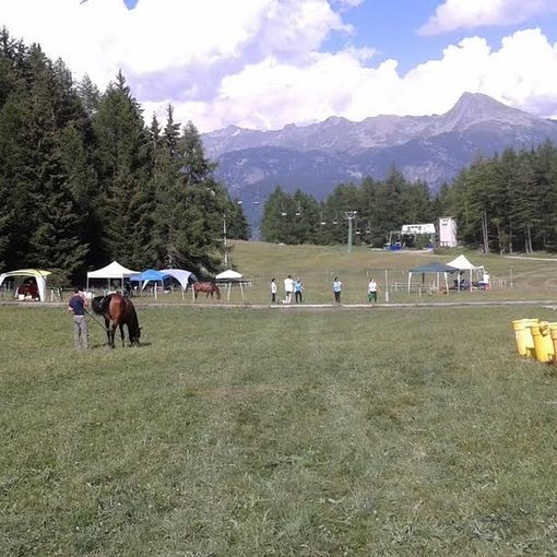 Equitazione: Torgnon torna capitale dell'Endurance e Jumping