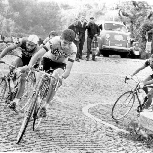 Felice Gimondi in azione al Giro di Lombardia 1966 che poi vinse (Foto Credit: Archivio RCS)
