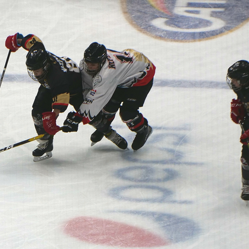 Hockey ghiaccio: Gli impegni dell'HC Gladiators