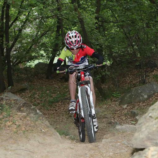 Sylvie Truc (repertorio)