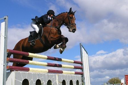 Equitazione: Brillano i binomi del Circolo Ippico San Maurizio