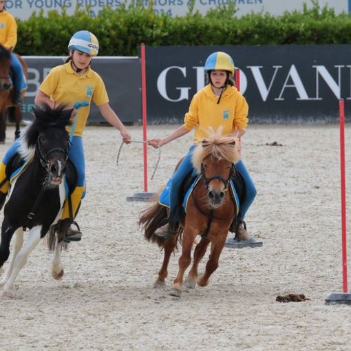 Equitazione: La Valle d'Aosta torna alle Ponyadi