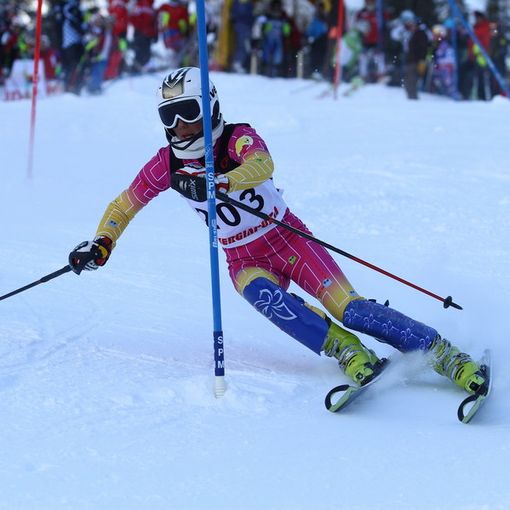 Elisa Fornari