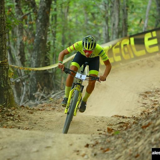 Matteo Siffredi (repertorio)