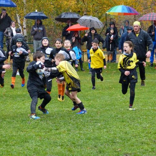 Rugby: U12; I Leoncini dello Stade trionfano a Moncalieri