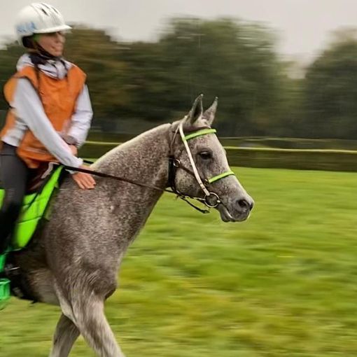 Equitazione: In Olanda per Alessia Lustrissy un bronzo che brilla cone l'oro