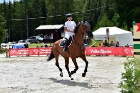 Equitazione: A Torgnon arrivano domenica i pony dell'Endurance