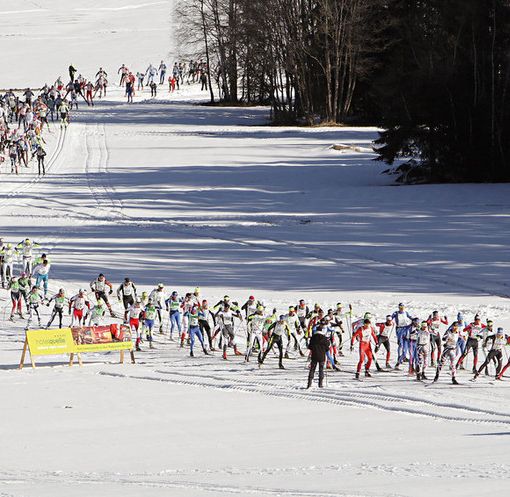 Sport invernali: Comitato Asiva a Roma per sostenere l'ambiente