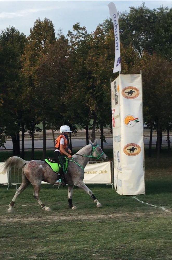 Endurance: Ottimo risultato di Alessia Lustrissy in Spagna