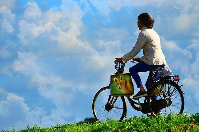 Una bicicletta per ogni occasione