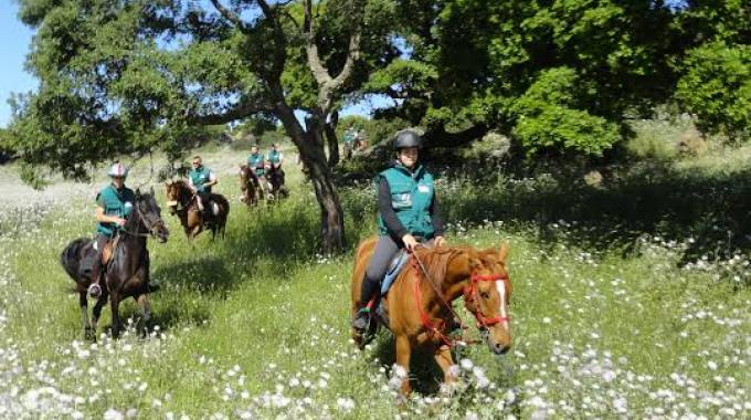 Equitazione: All'Avres di Nus corso di di Guida di Equitazione di Campagna
