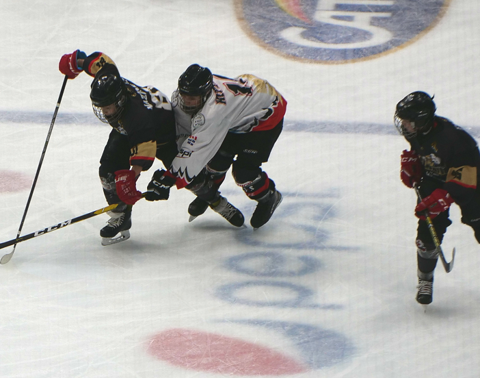Hockey ghiaccio: Gli impegni dell'HC Gladiators