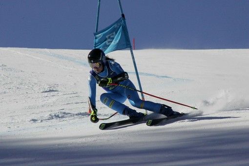 foto repertorio