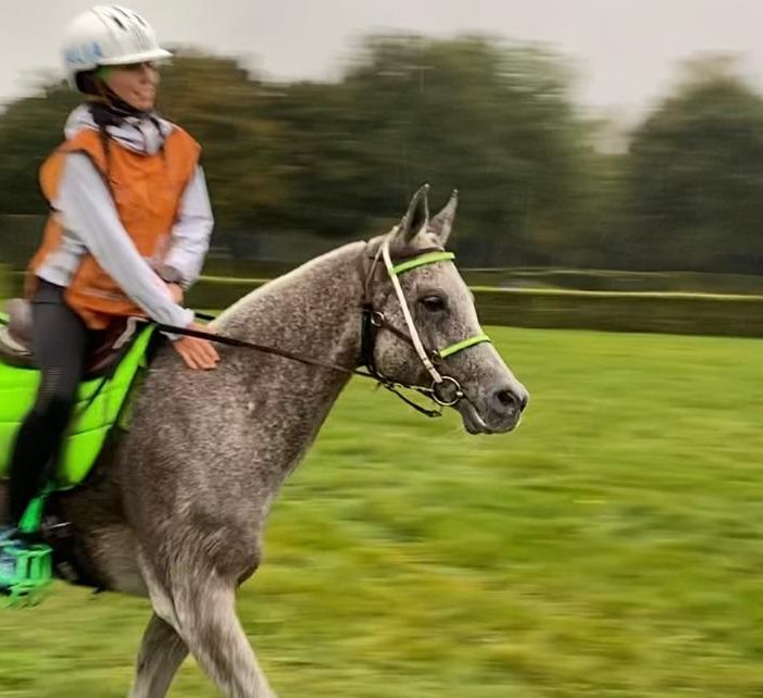 Equitazione: In Olanda per Alessia Lustrissy un bronzo che brilla cone l'oro