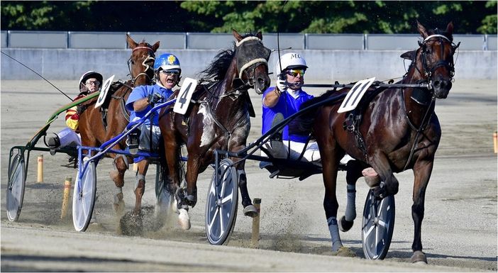 Ippica: Il paradosso delle corse dei cavalli Ippica: Il paradosso delle corse dei cavalli