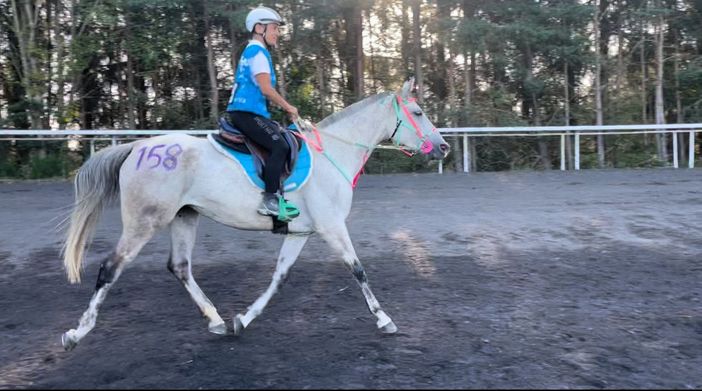 Simona Capozza Simona Capozza