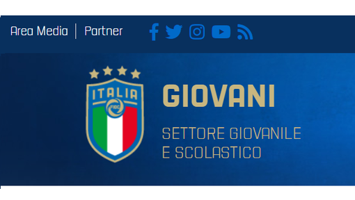 GIOVANILI NAZIONALI, STOP DEFINITIVO (con poche parole...) - Ora tocca ai Dilettanti?