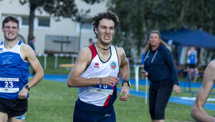 XIX Gomitolo di Lana XIX Gomitolo di Lana