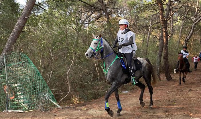 Martina Pisano (repertorio) Martina Pisano (repertorio)