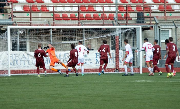 Borgosesia-Bra (Frozenlight foto Studio)