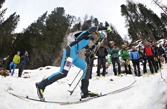 Antonioli e nell'articolo Compagnoni Antonioli e nell'articolo Compagnoni