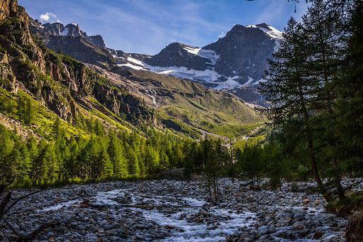 Winter World Triathlon Championships 2025: iniziativa solidale “Doniamo un albero a…” Winter World Triathlon Championships 2025: iniziativa solidale “Doniamo un albero a…”