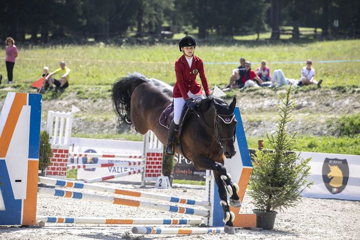 Arianna Cerana Arianna Cerana