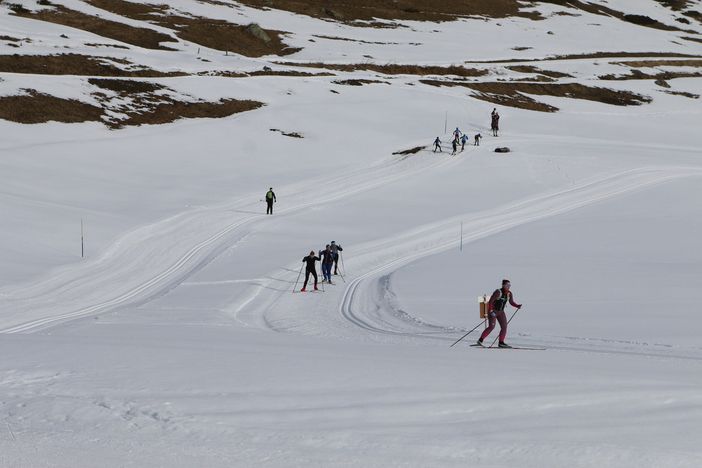 Immagine di repertorio