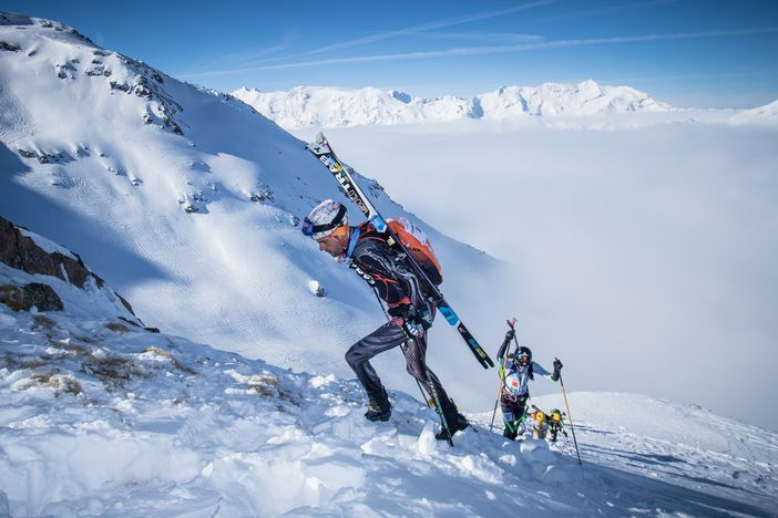 (foto Mauro Torri) (foto Mauro Torri)