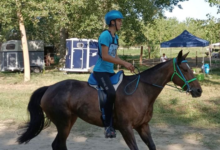 Orlando Masini Orlando Masini