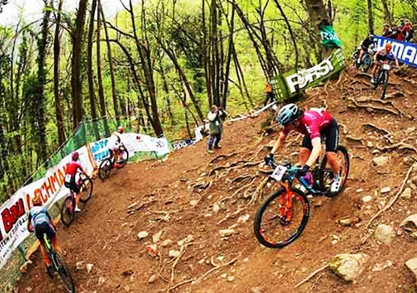 Martina Berta (repertorio)