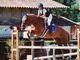 Equitazione: Buon piazzamento per Iris Cirelli Rini