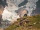 I funamboli della downhill regalano spettacolo nella  tappa della Maxi Avalanche di Breuil-Cervinia