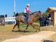 Equitazione: Endurance; in Puglia Martina Pisano conquista un entusiasmante secondo posto